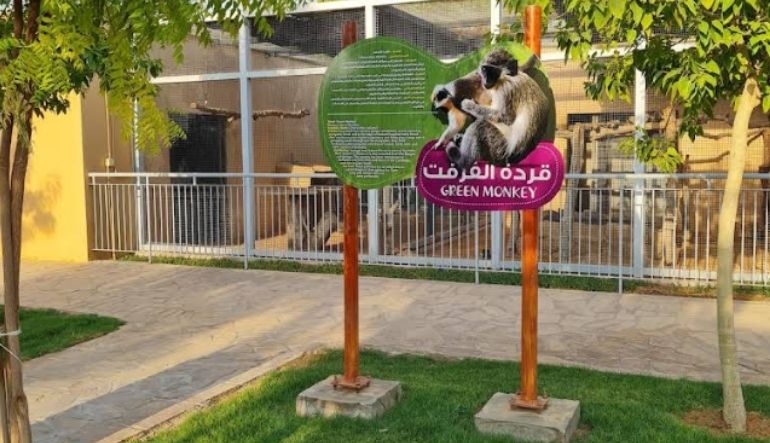 انشطة حديقة الحيوان الرياض