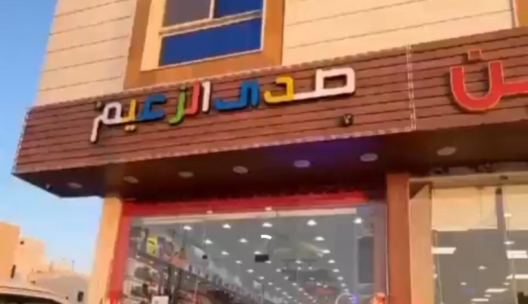 شركة صدى الزعيم لألعاب البلايستيشن