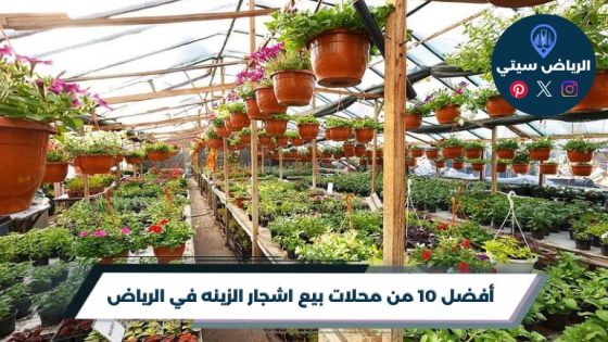 أفضل 10 من محلات بيع اشجار الزينه في الرياض